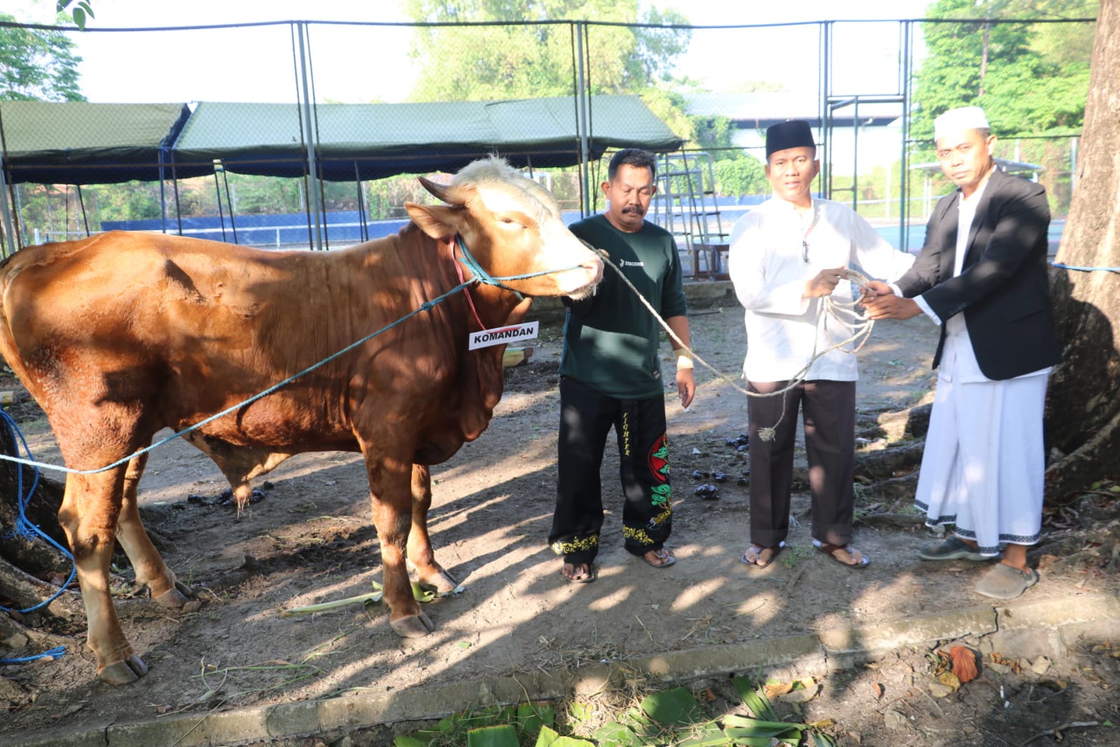Lanud Muljono Surabaya Laksanakan Pemotongan Hewan Kurban Idul Adha 1444 H/2023 M
